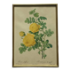 Old yellow rose lithograph framed under glass Remond printing house ACC-7059