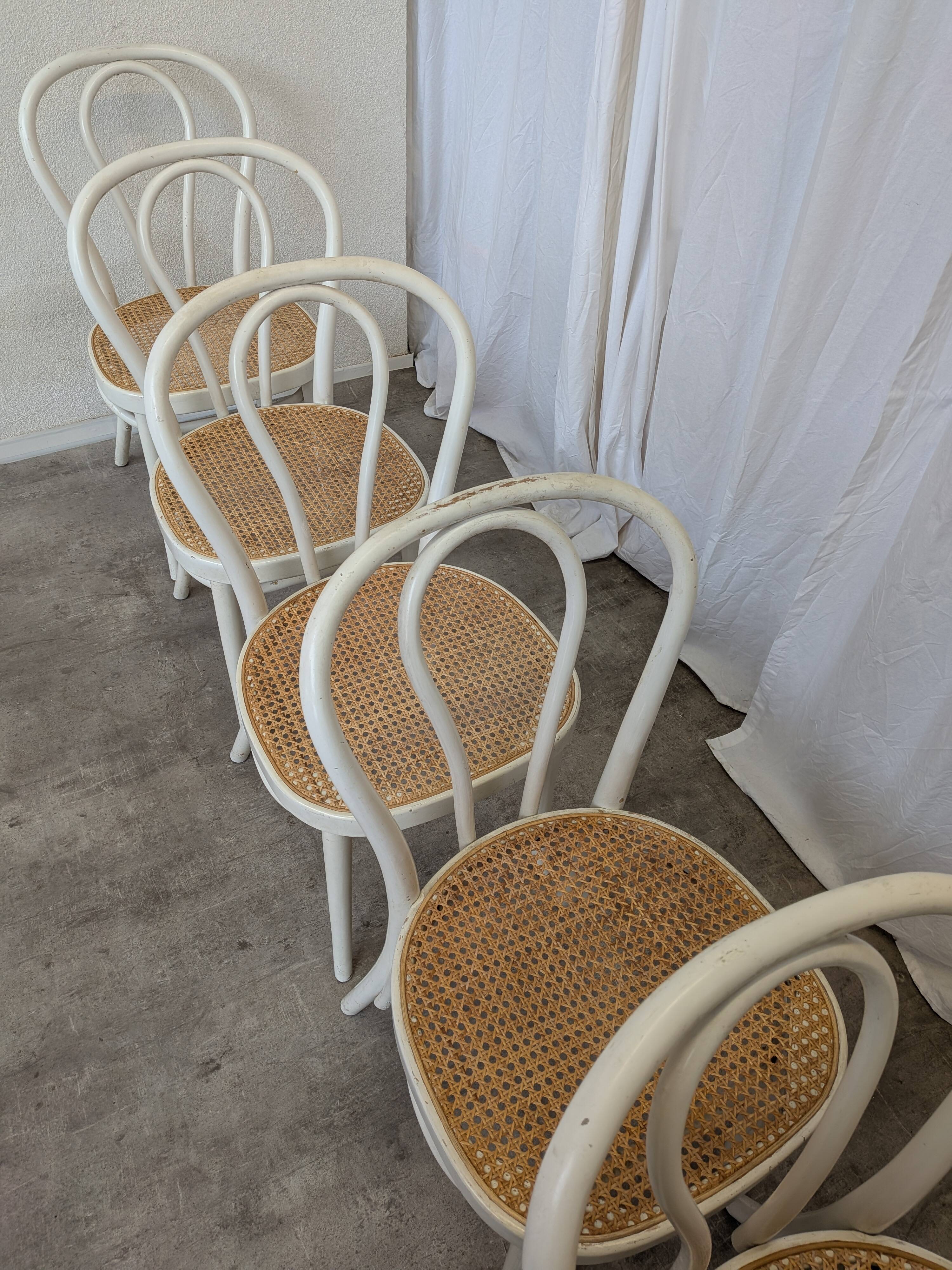 Ensemble de 6 chaises de salle à manger vintage de style Thonet : bois blanc et assise en cannage.
