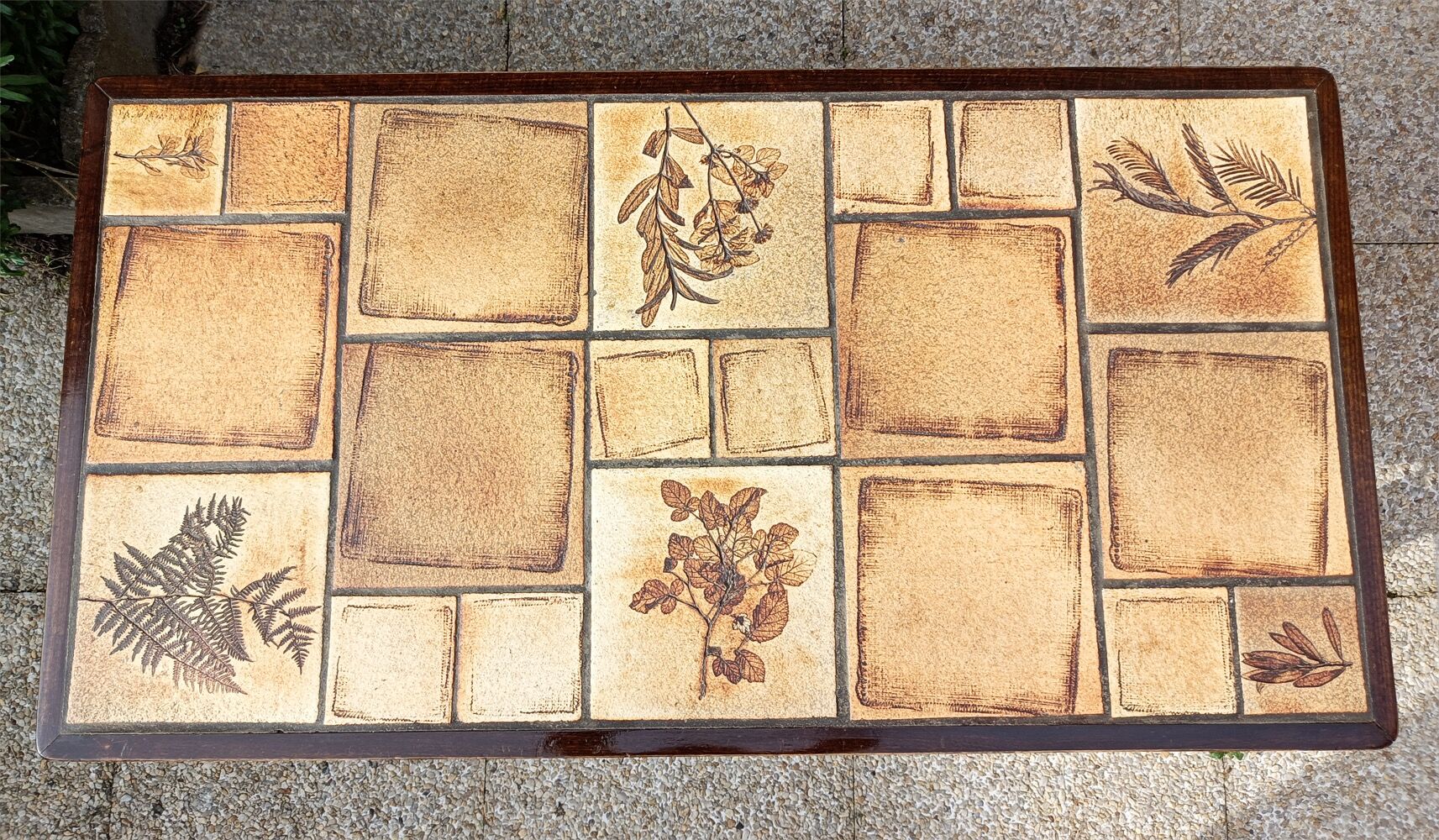 Rectangular herbarium coffee table, vintage 60s