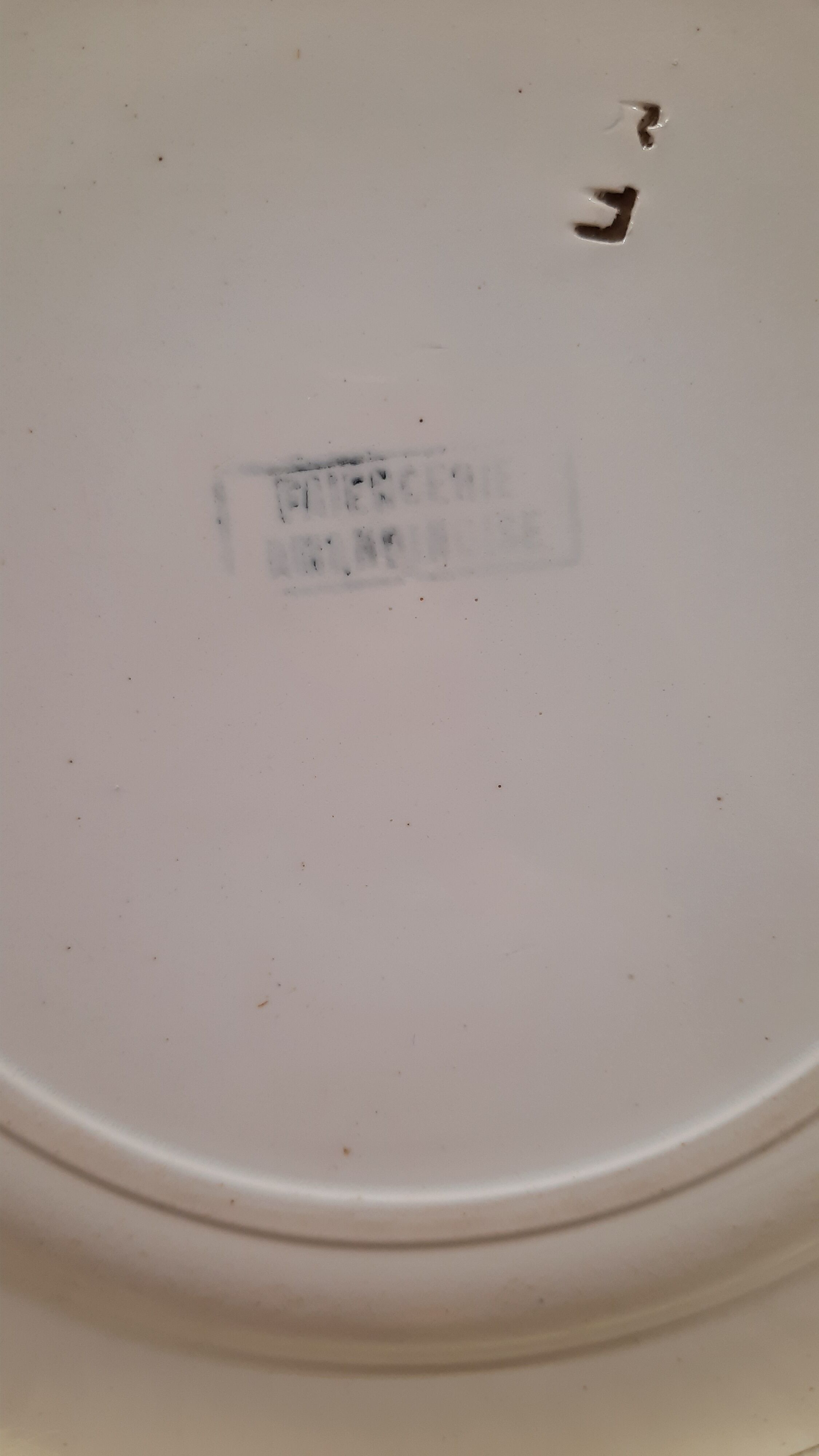 Pair flowery flat plates