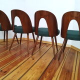 Set of four chairs, designed by A. Suman, Tatra Nabytok, Czechoslovakia, 60s