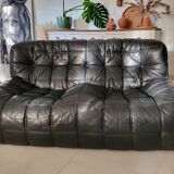 Kashima model sofa by Michel Ducaroy for Ligne Roset