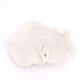white coral empty pocket shape, cabinet of curiosities, 70s
