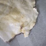 Reindeer skin