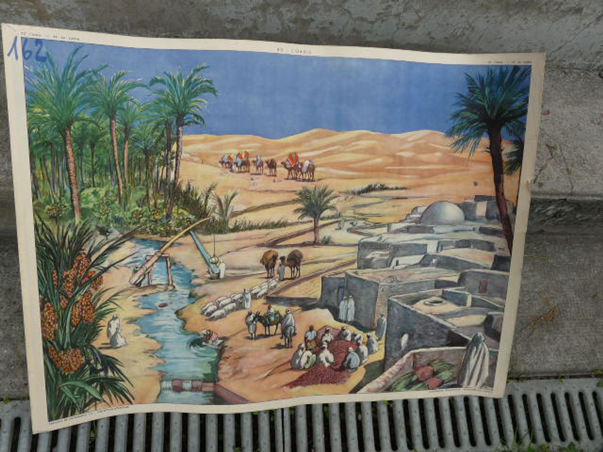 School poster editions nightingale N° 43 and 44 the rice field and the oasis
