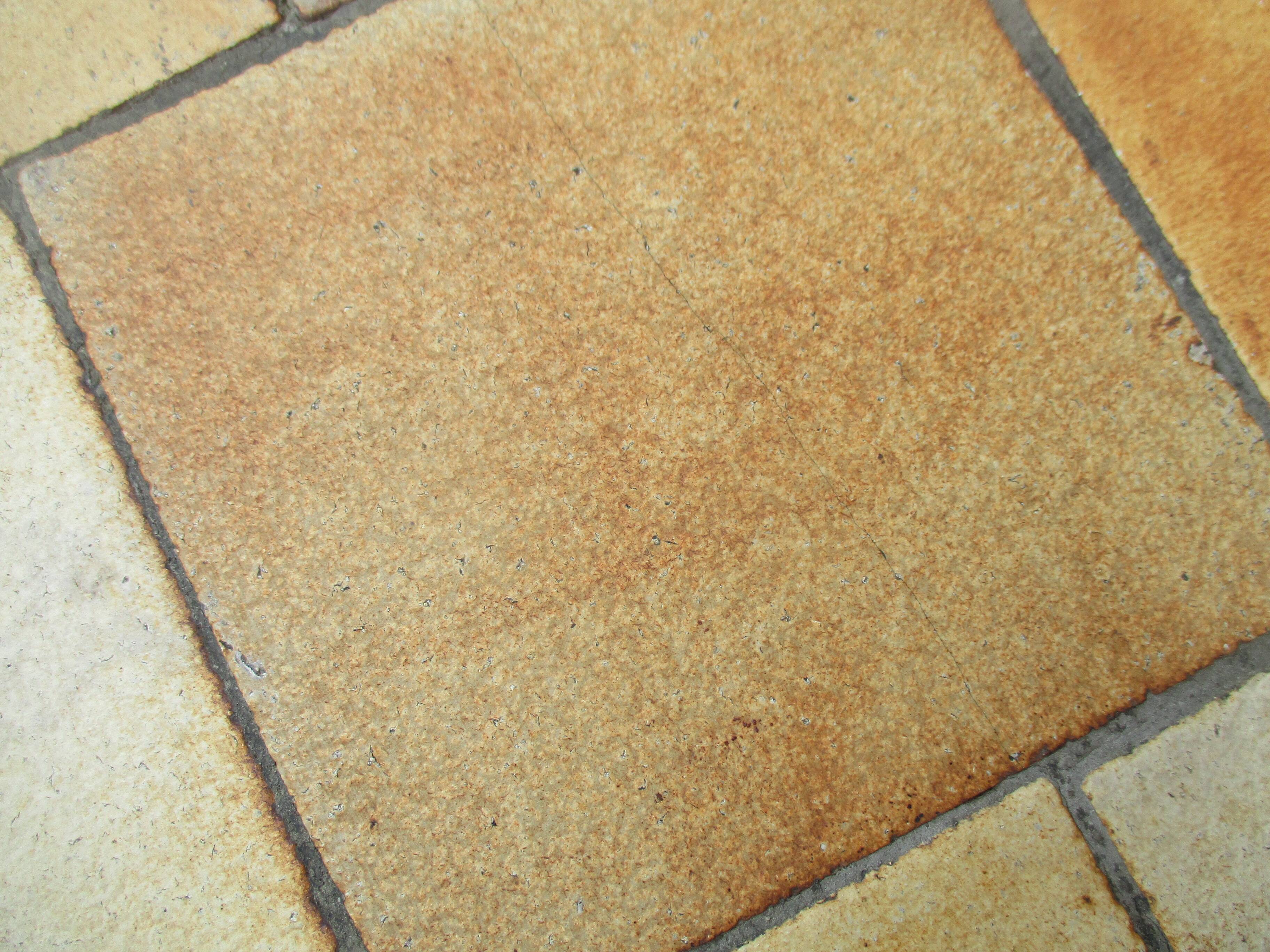 Vallauris coffee table by Raymonde Leduc gres modele aux herbiers vintage