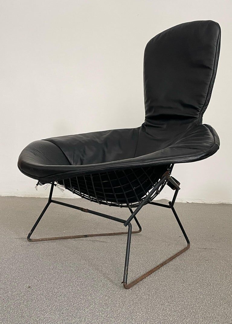 Bird Chair Harry Bertoia for Knoll Black