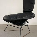 Bird Chair Harry Bertoia for Knoll Black