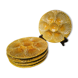 5 oyster plates in slurry