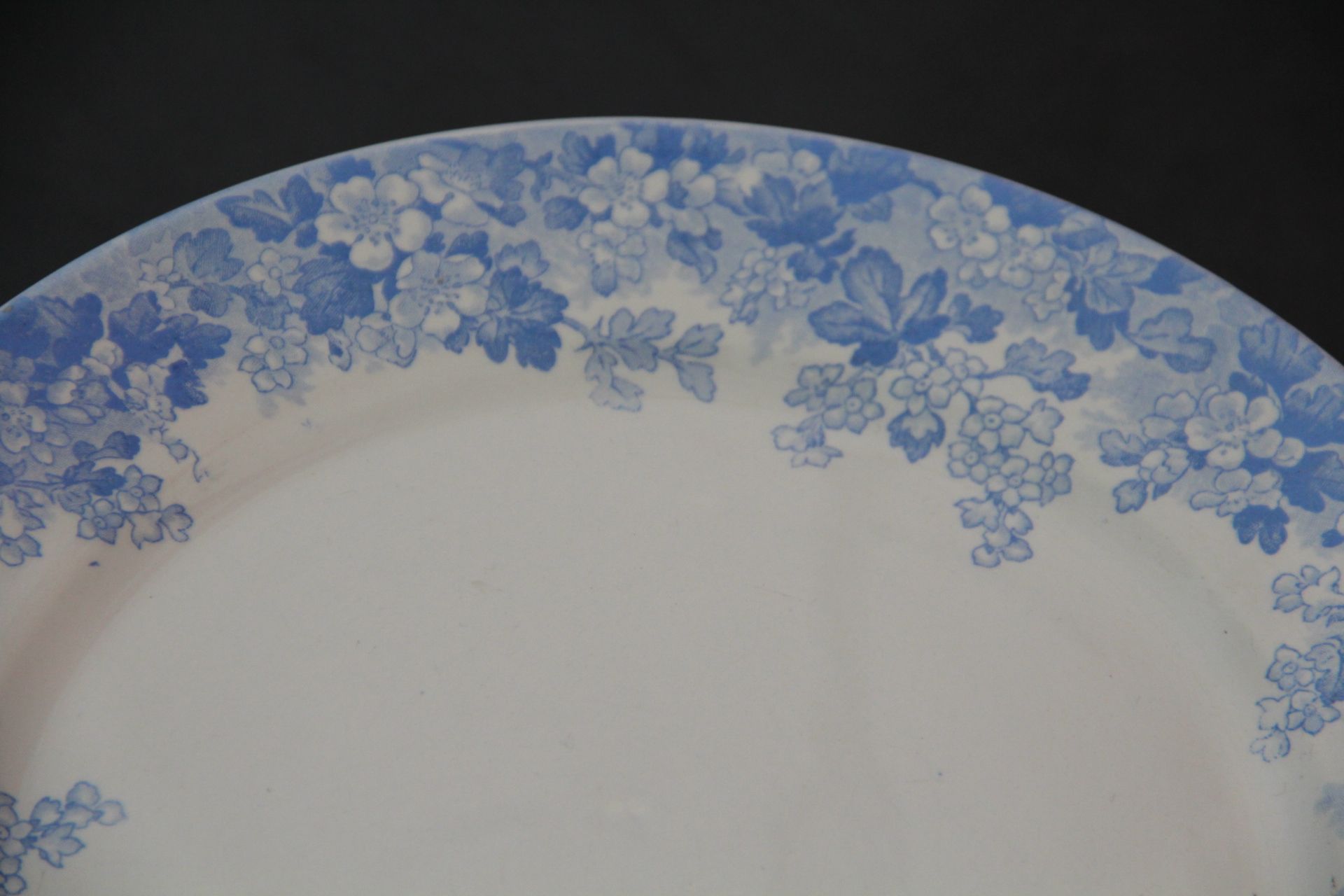 Rare plate service 6 people "Récamier" U&C Sarreguemines and Digoin late nineteenth °