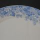 Rare plate service 6 people "Récamier" U&C Sarreguemines and Digoin late nineteenth °