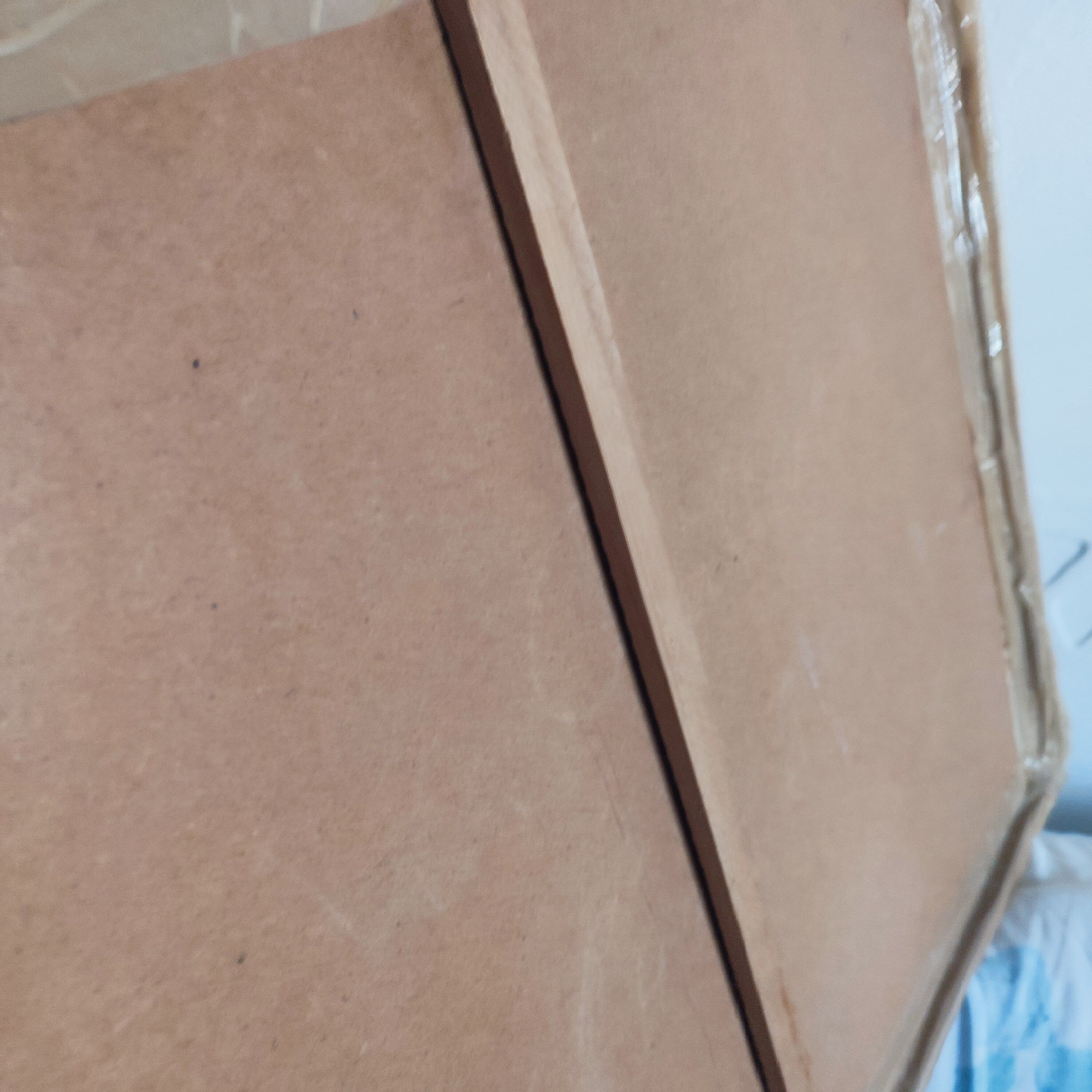 Tapisserie en coton lion ailé