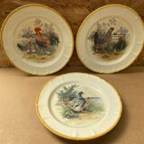 Set of 3 Old Ceramic Plates Decor H. ARNDT Rooster Hen & Duck #B188