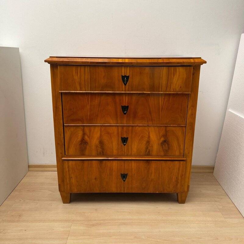 Biedermeier Ebonized Chest of Drawers in Cherry Veneer, South Germany, 1830