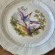 Bird dessert plates