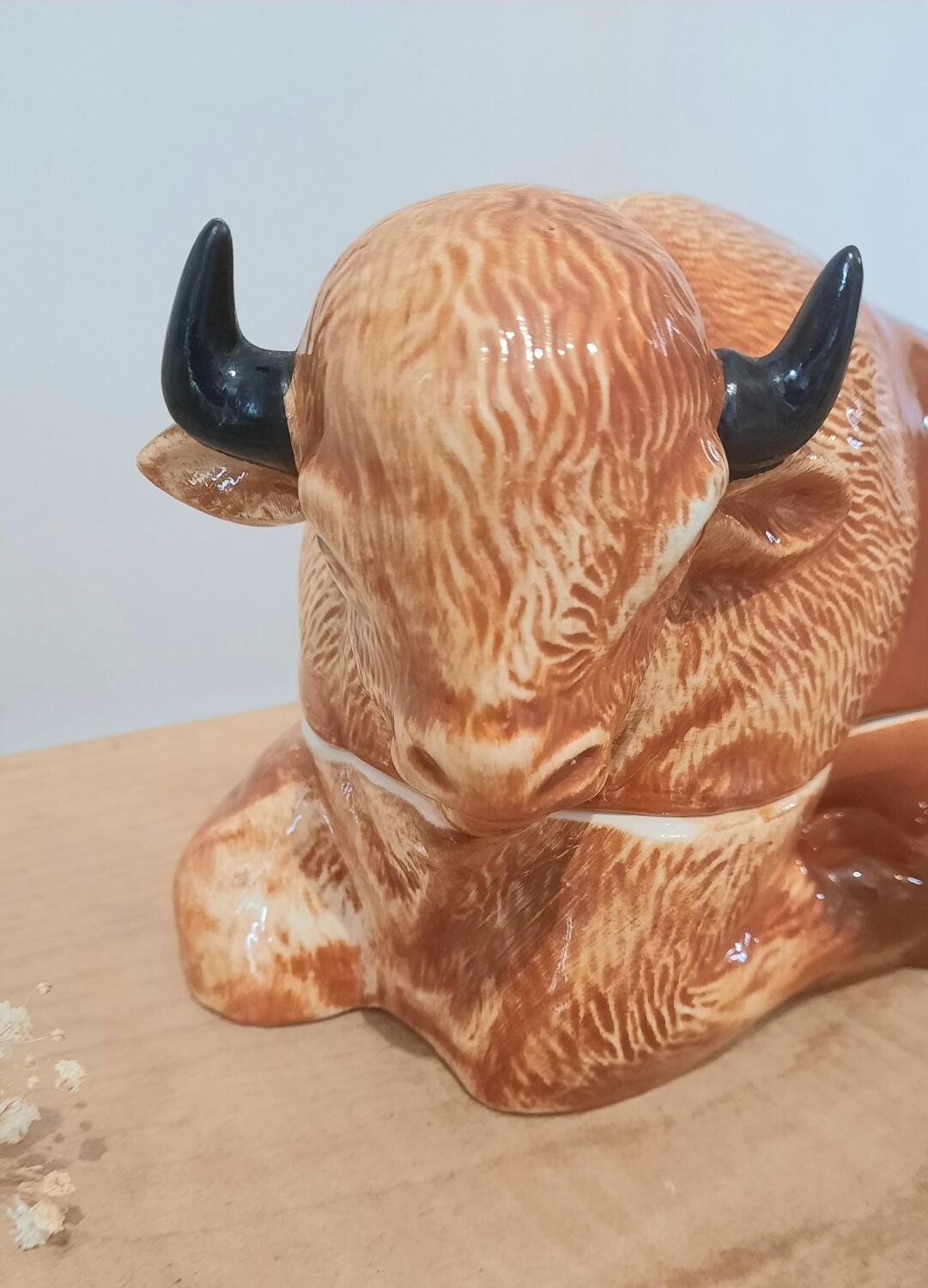 Terrine Bison Michel Caugan