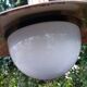 Pendant lamp