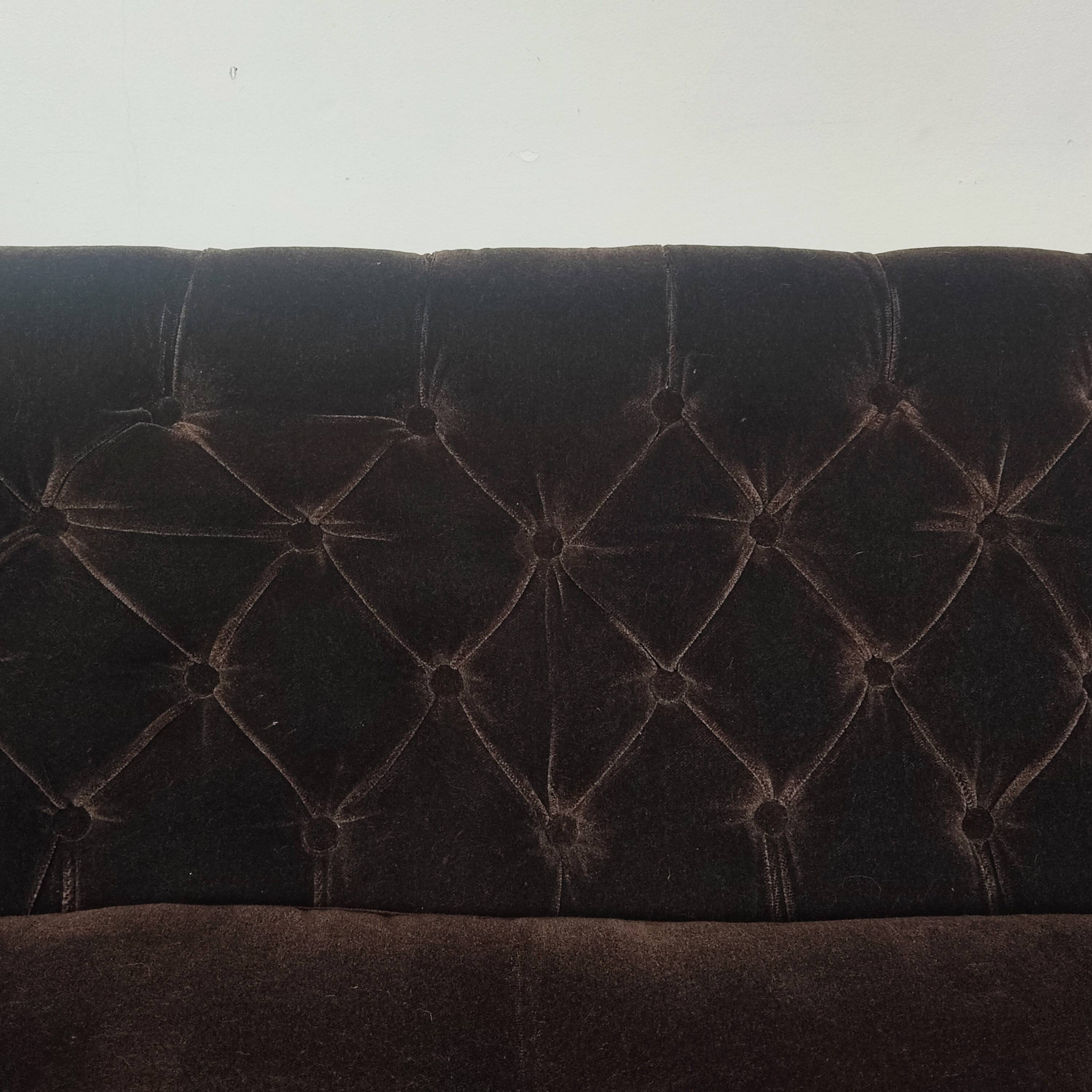 Velvet toad sofa