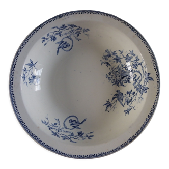 Hollow dish creil and montereau model parakeet