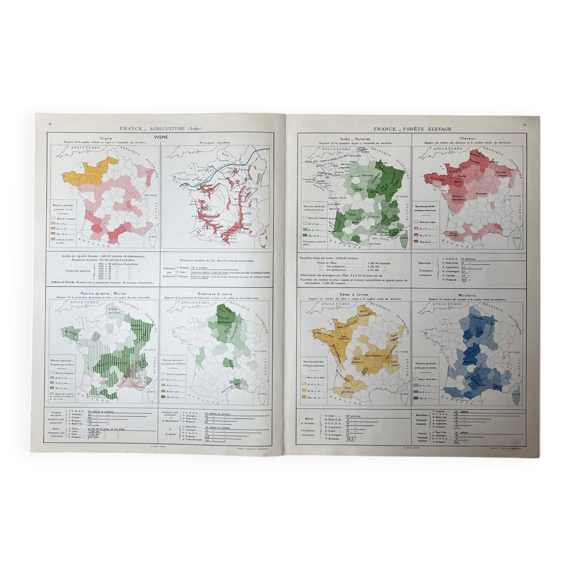 Double map plan France Agriculture Livestock 55.5x37.5cm