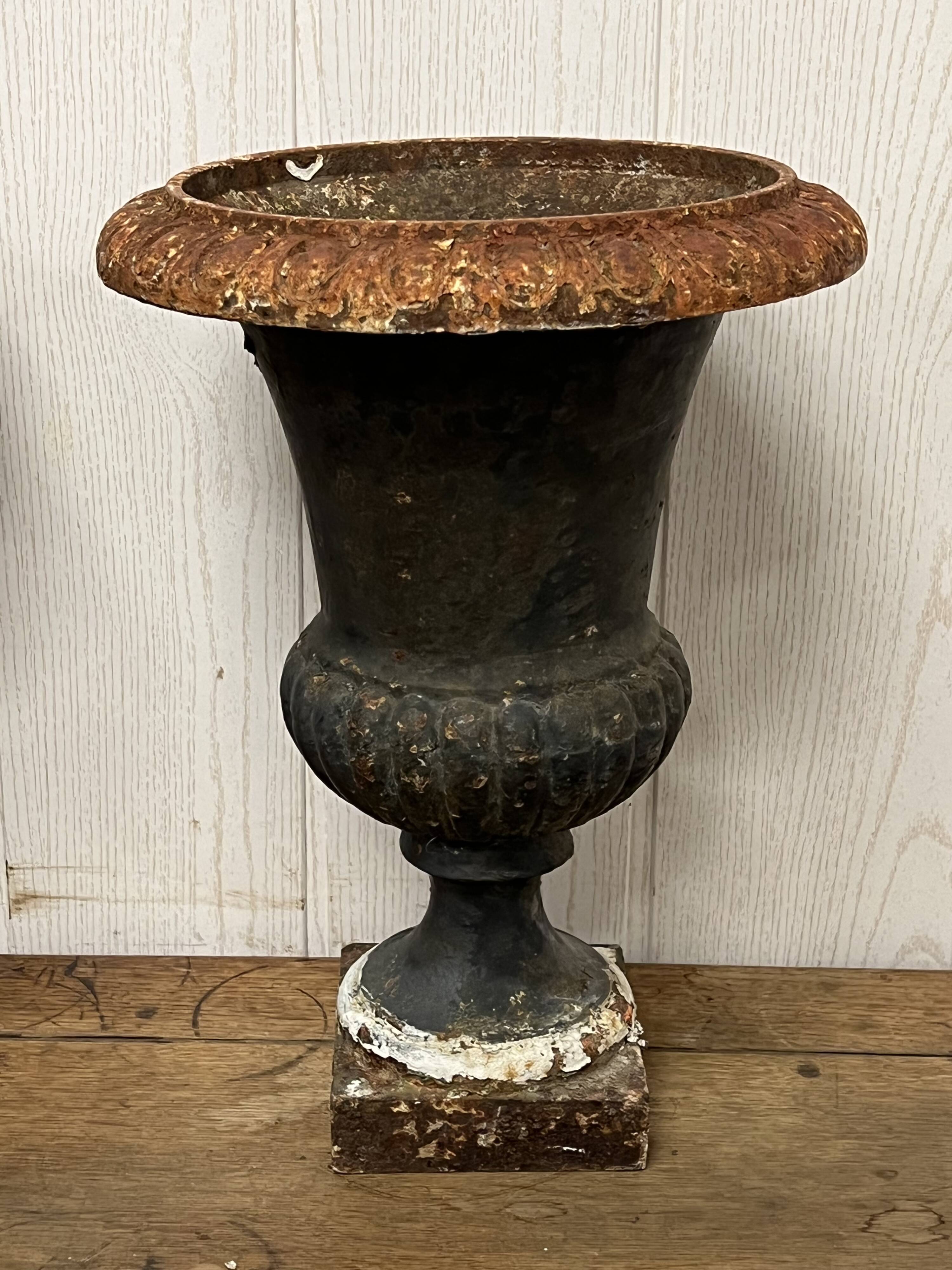 Pair of Medici vases