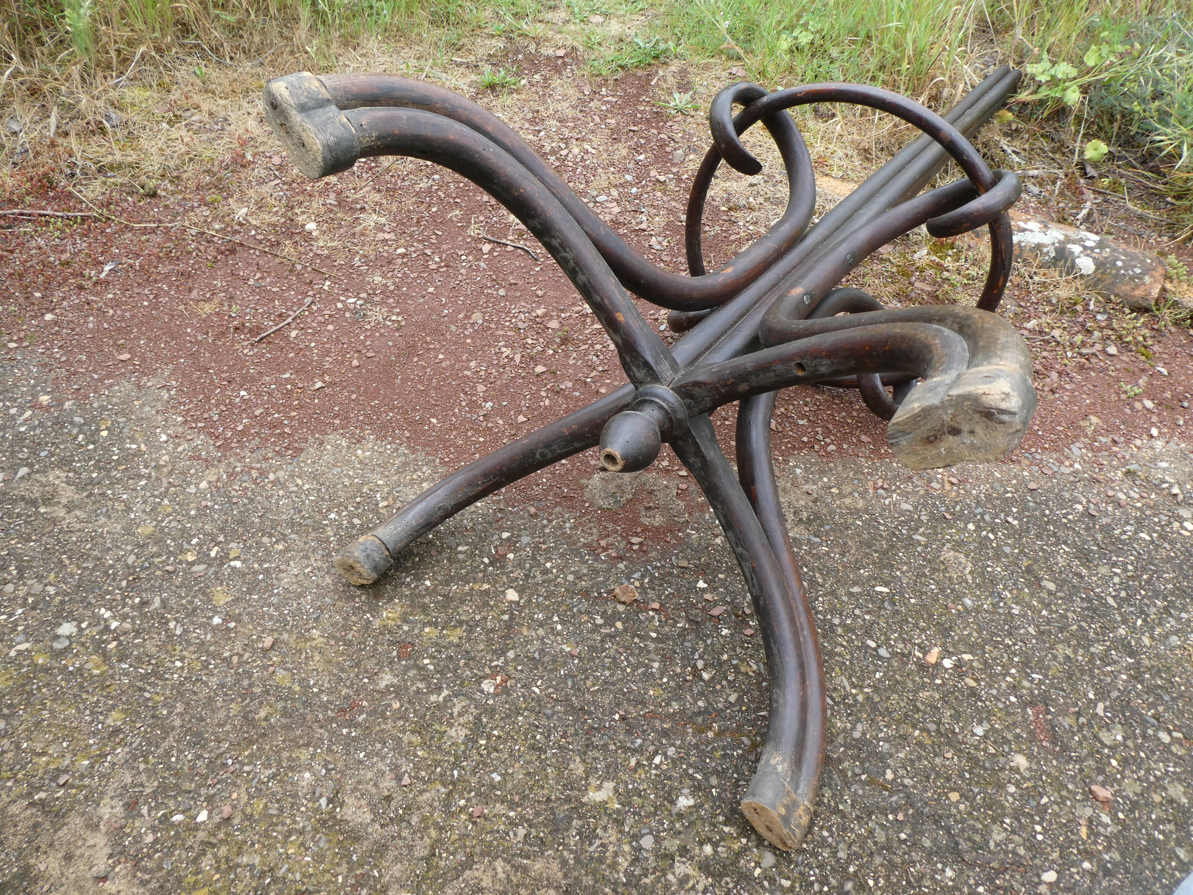 Parrot coat holder in curved wood - Art Nouveau