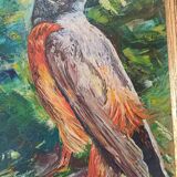 Oil on canvas red-tail bird, m. rosem gispert, spain colirrojo real