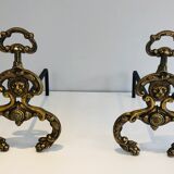 Chenets, cheminée, bronze, fer forgé, style néoclassique, lions