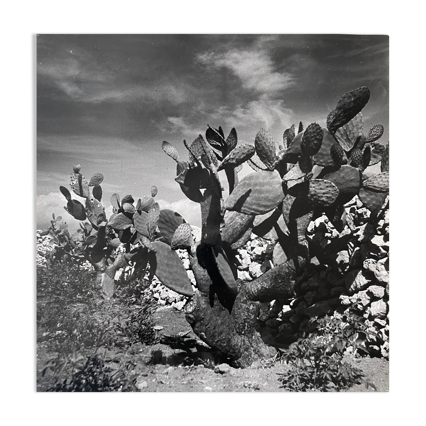 Old black and white silver photography early twentieth century