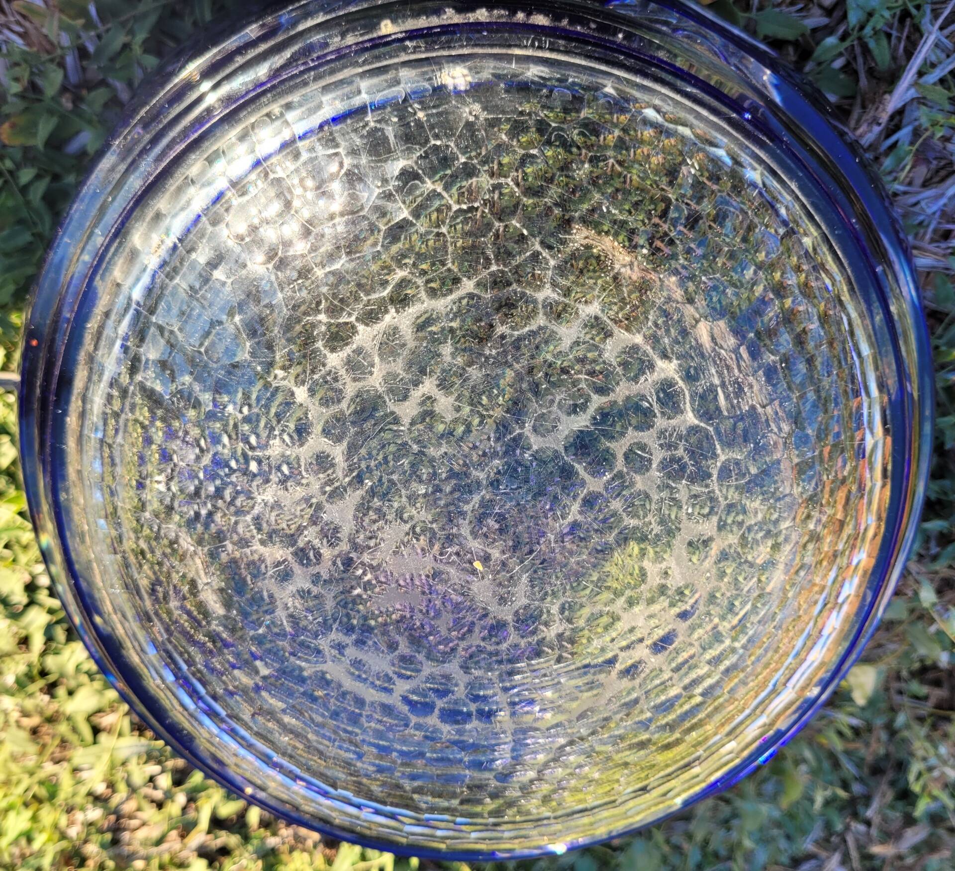 cobalt blue glass bowl with round lenses