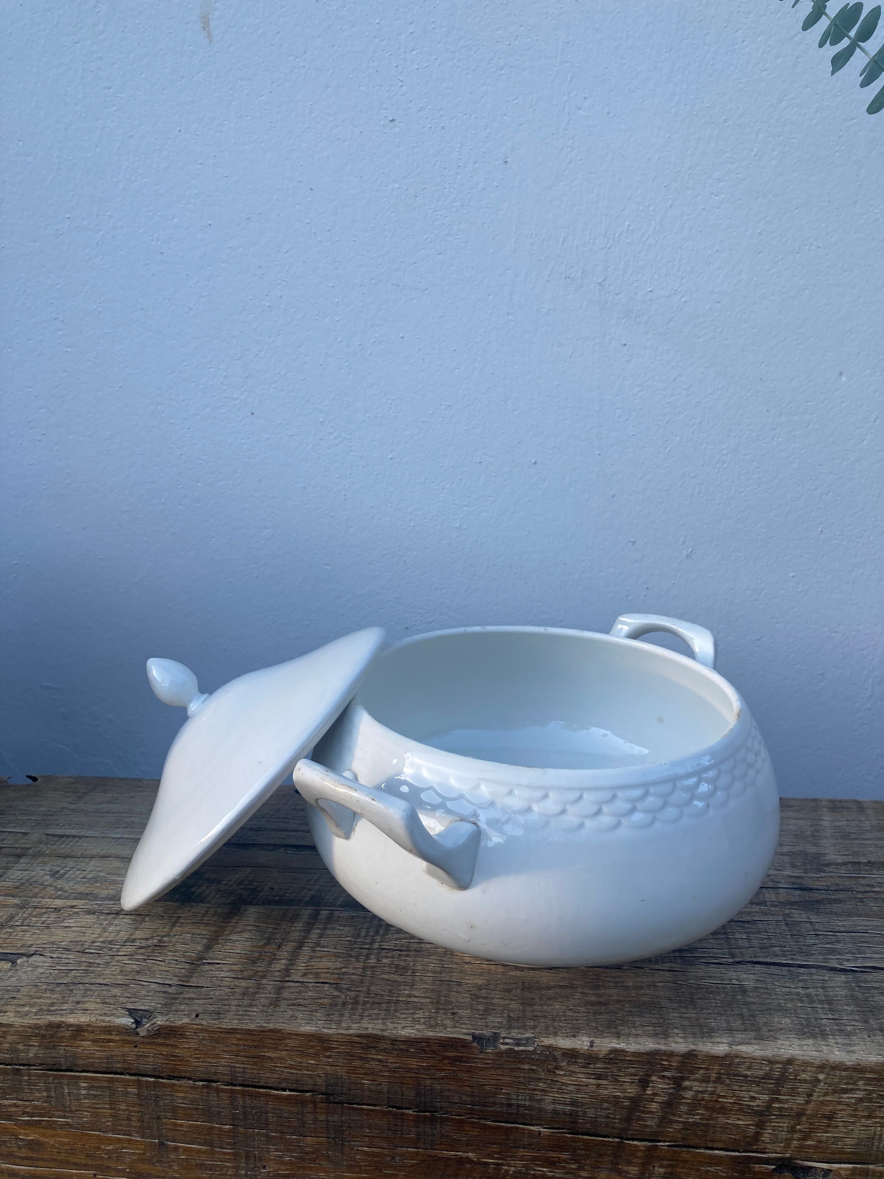 Earthenware tureen nineteenth old white