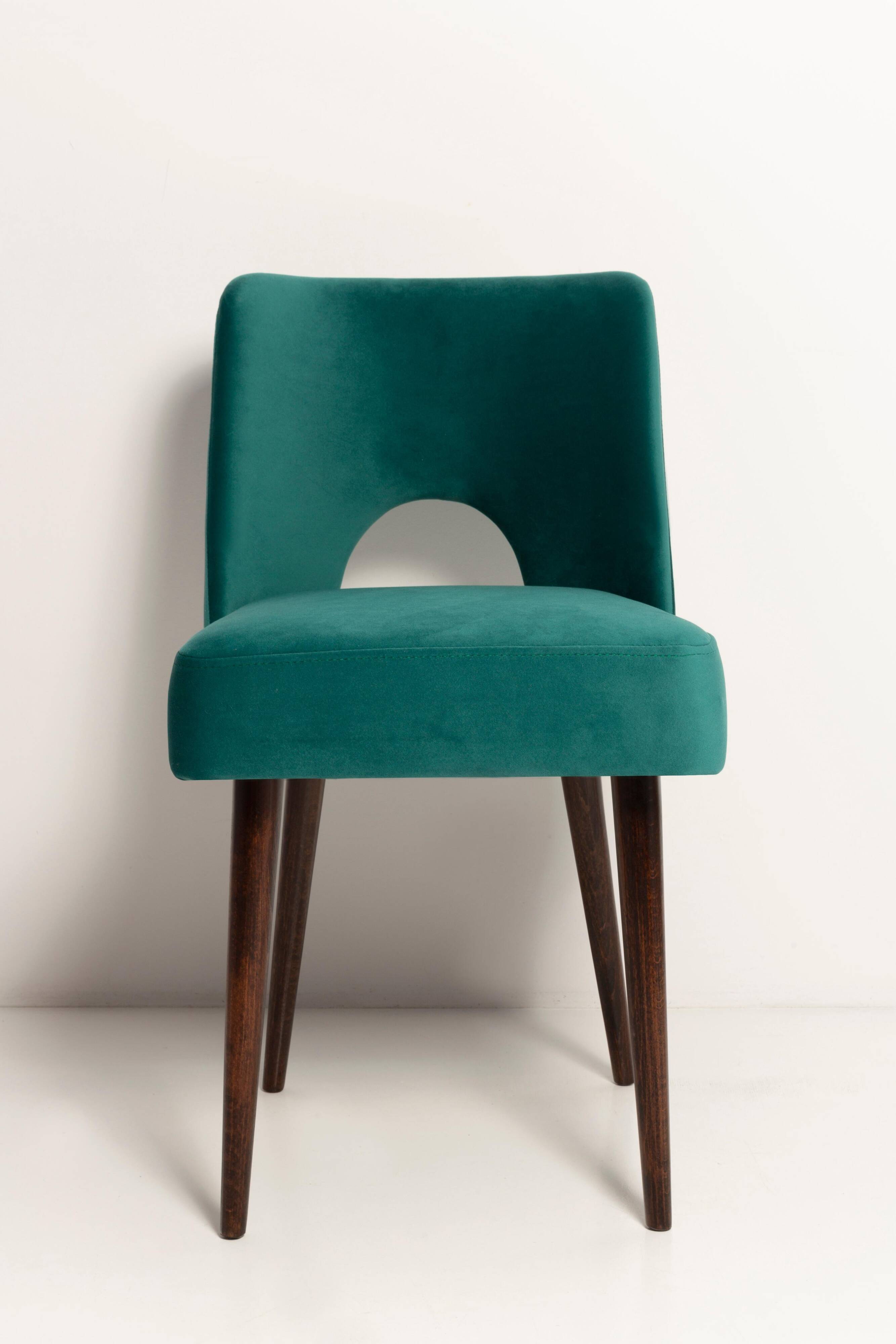 Chaise « shell » en velours crème et bois, Pologne, 1960s