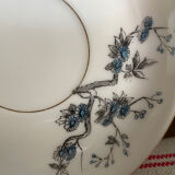 Fine porcelain tea cups