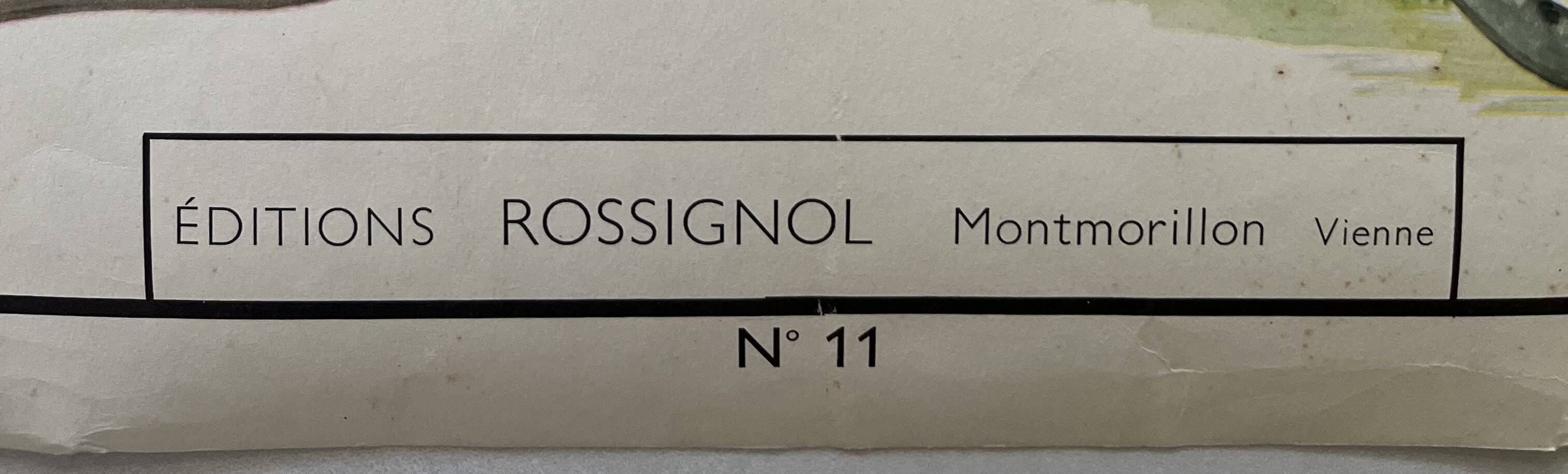 Old school poster Rossignol – Viper & Lizard / Bird families
