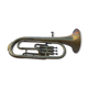 Trumpet cornet ancient margaritas