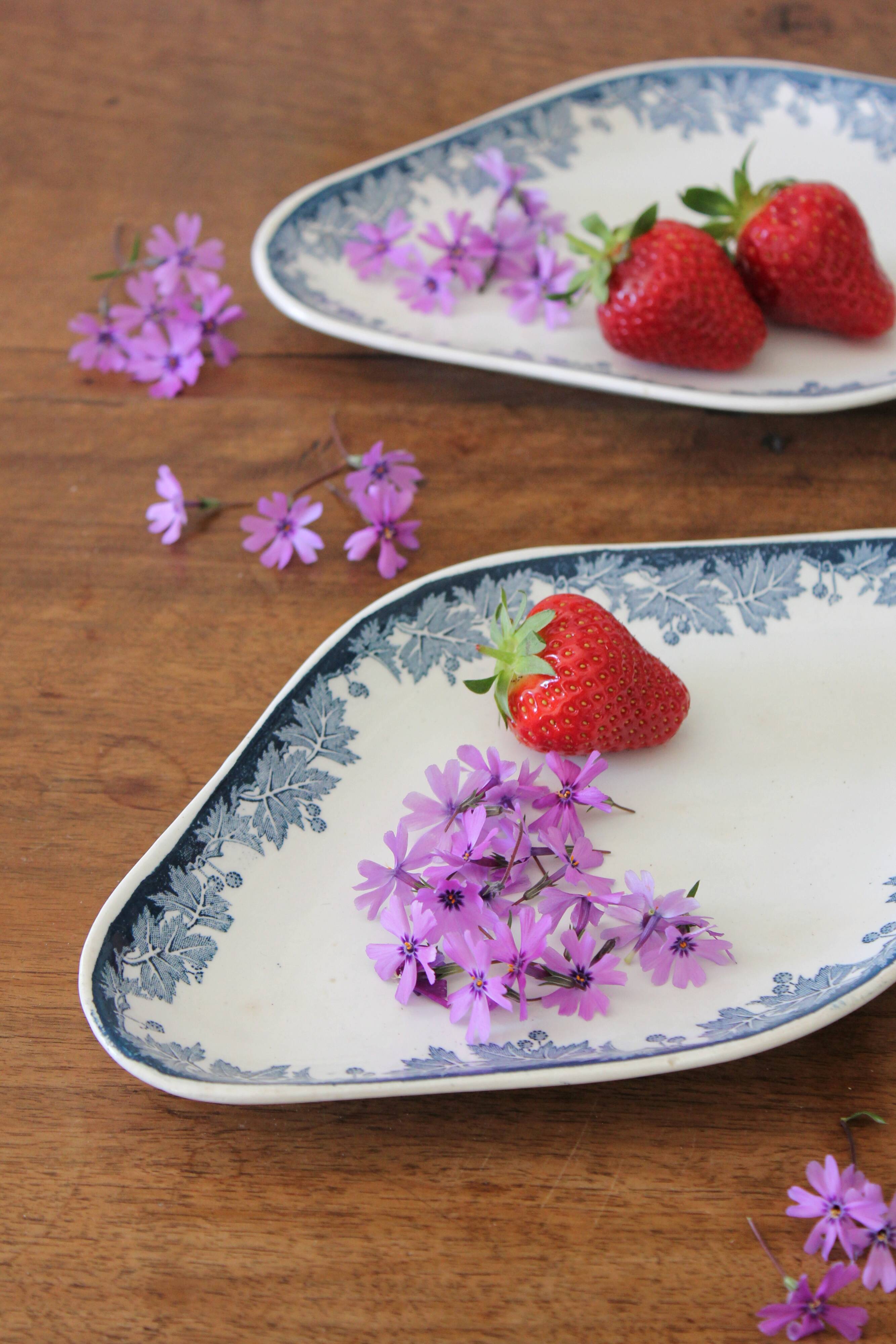 Iron clay dish "Platane" model Saint Amand and Hamage early 20th century