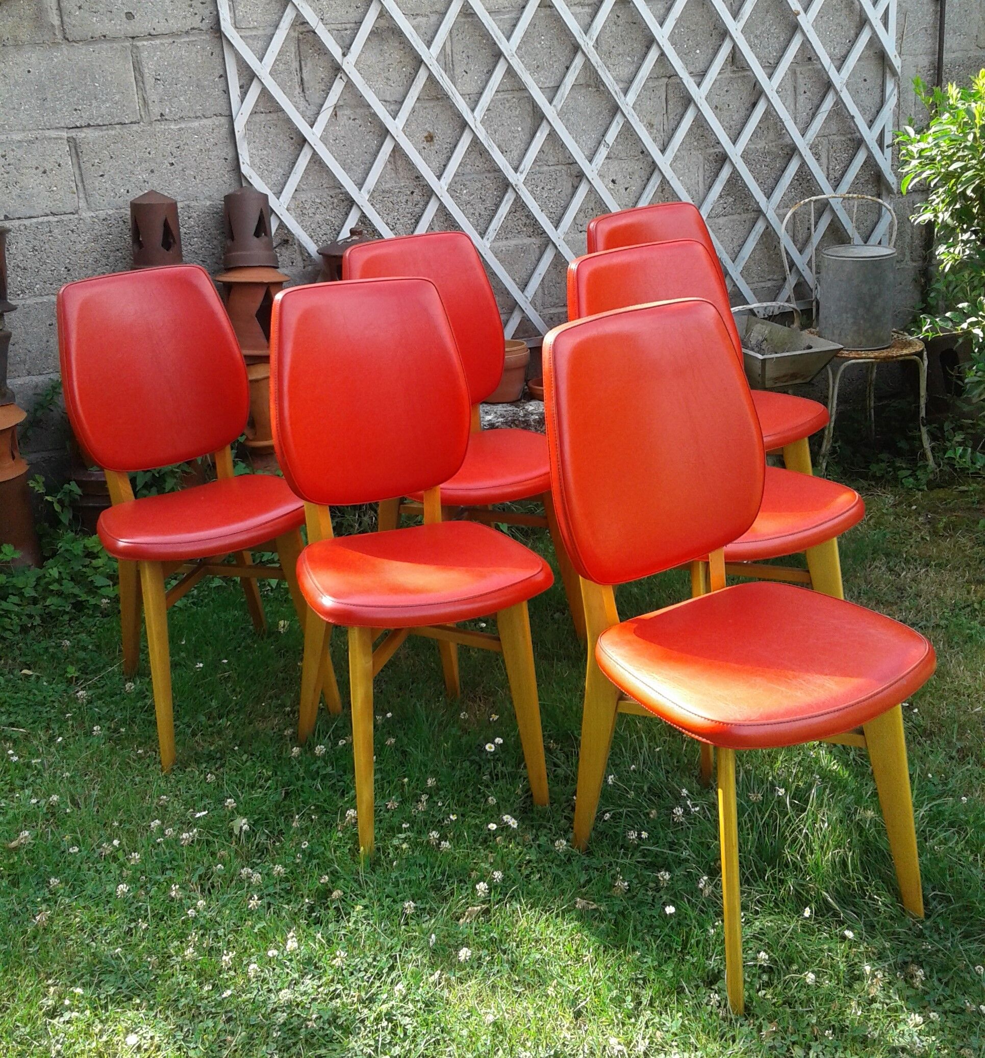 Set of 6 chairs in wood covered with red skai