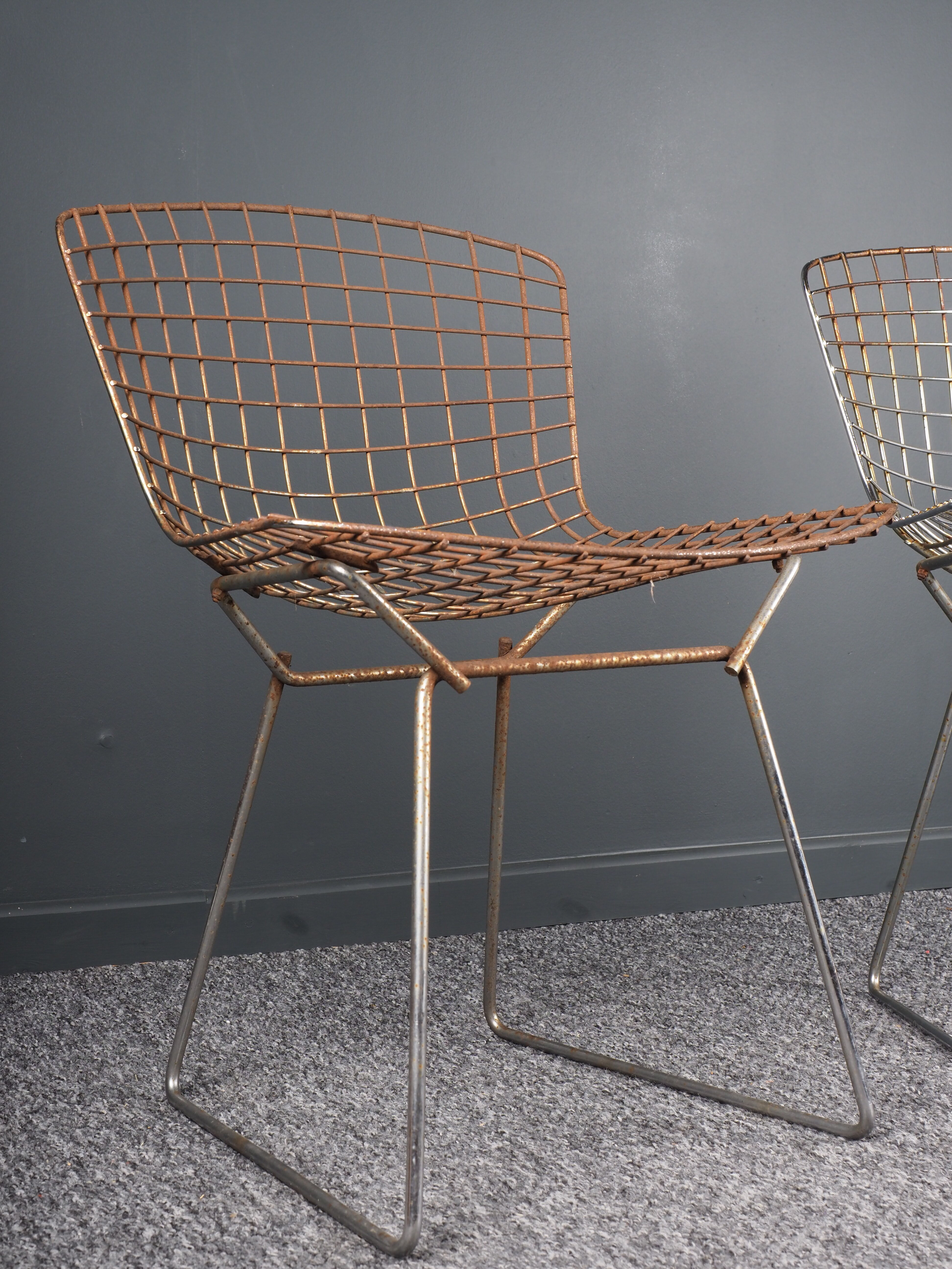 Pair of chairs by Harry Bertoia 80