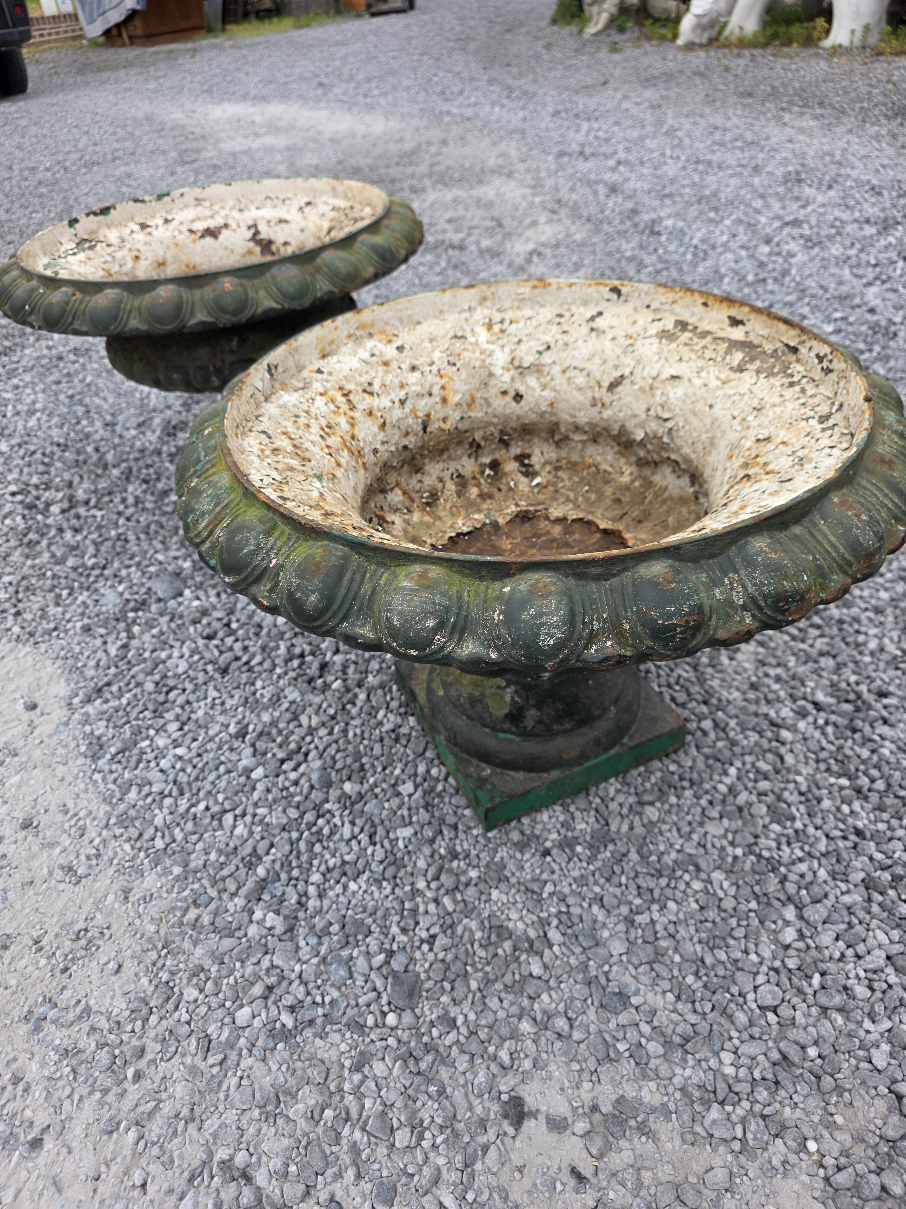 Pair of Medici vases in cast iron from the 19th century, 55cm wide.