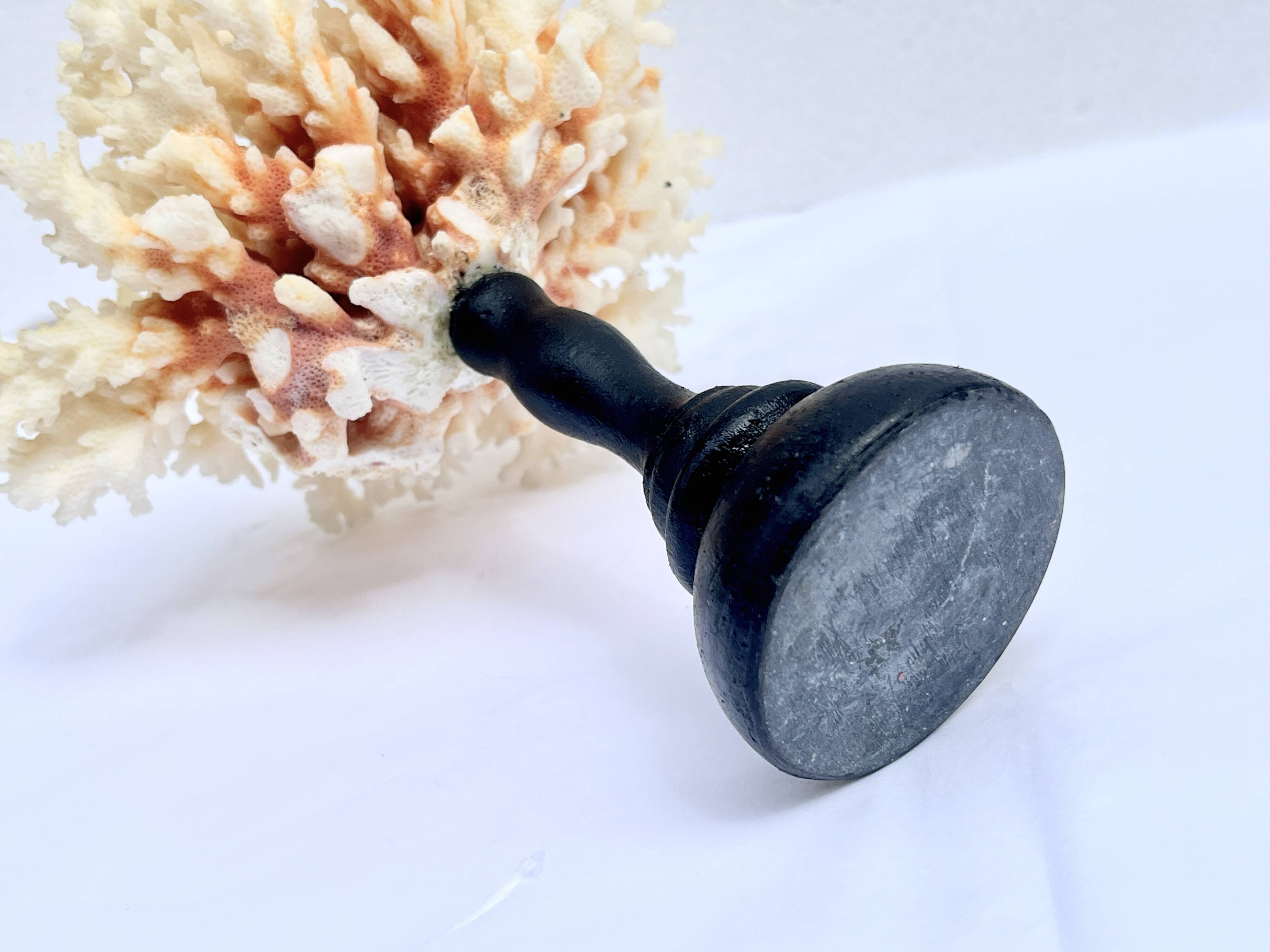 Corail blanc naturel ancien sur socle en bois tourné napoléon iii xixe cabinet de curiosités