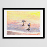 Brunswick Gulls - A4 - Bird SeaScape