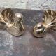 Vintage brass pigeon book greenhouse