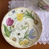 Déjeuner (tasse/sous tasse) porcelaine anglaise