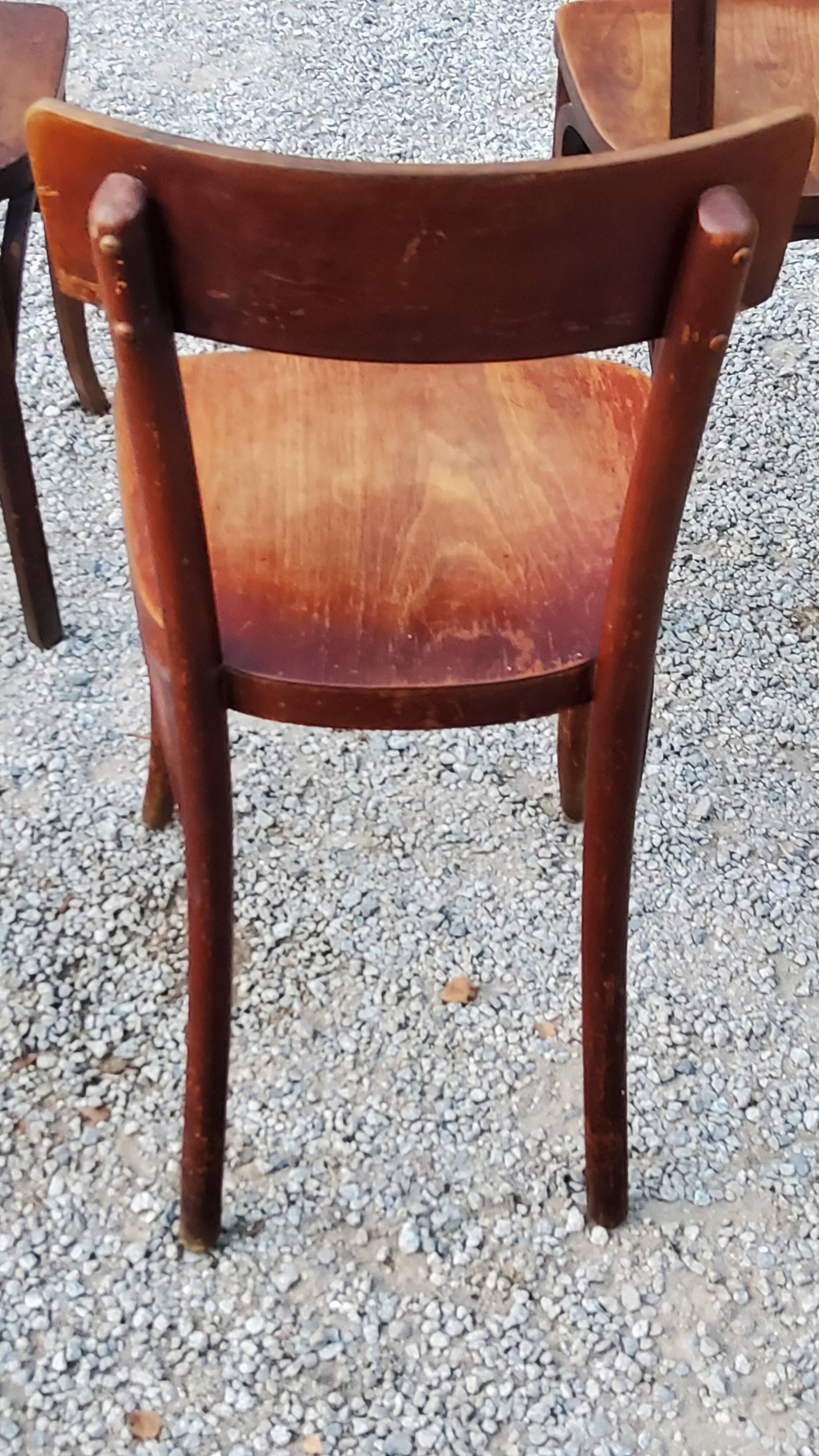 Set of 5 Stella Thonet bistro chairs from the 1950s