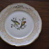 Lot de 5 assiettes à dessert "oiseaux différents"
