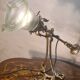 brass rocking lamp with art nouveau glass tulip loeste 34x15