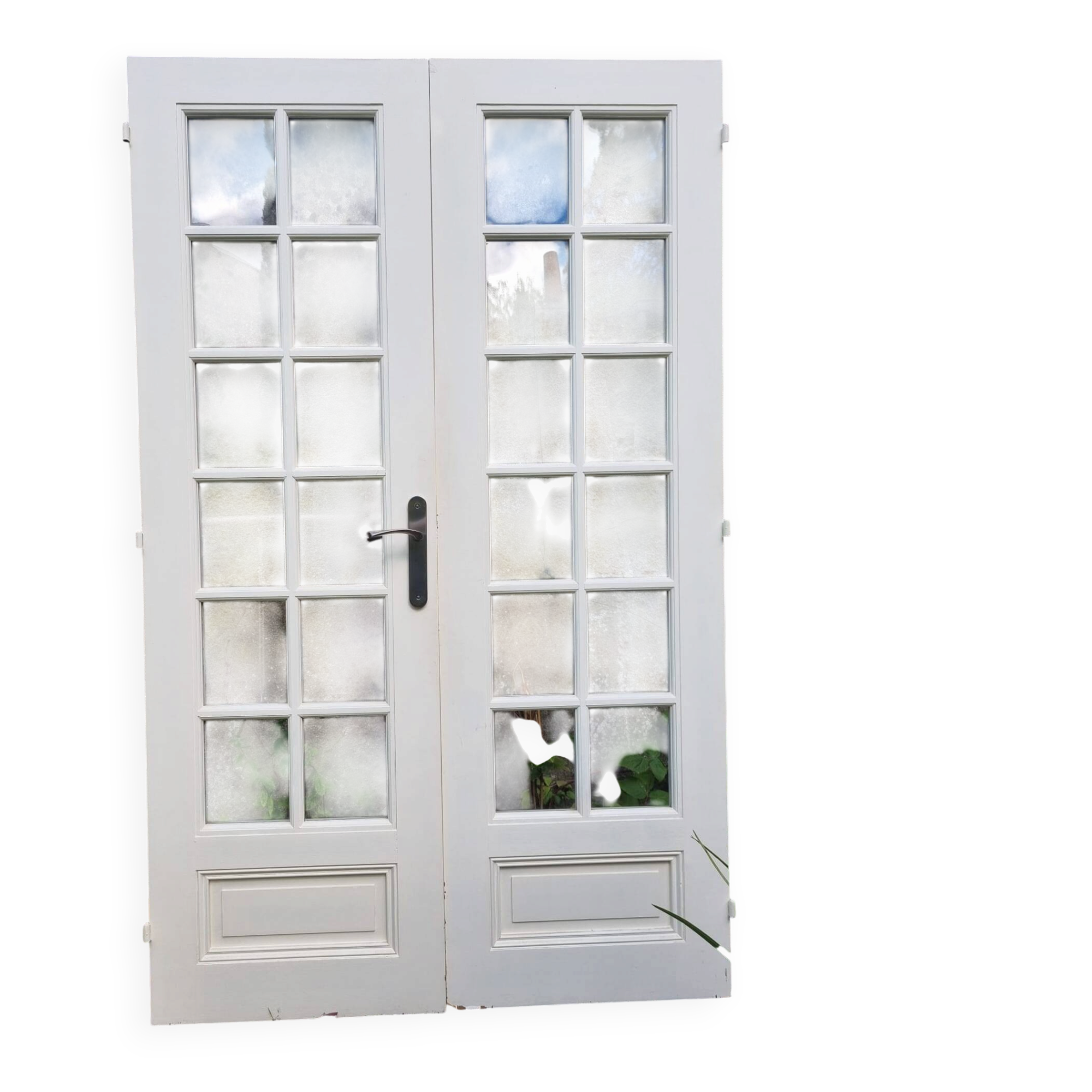 Double old doors
