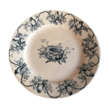 Ancient plate nests and birds