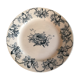 Ancient plate nests and birds