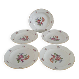 Set of 5 Limoges enameled porcelain plates